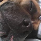 Фотография пользователя Ssmileyy