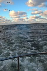 Fotos guma7