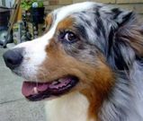 Benutzerfoto Gollasek930