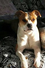 Benutzerfoto AlbertKKK