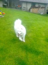 Zdjęcie użytkownika BieniekMa