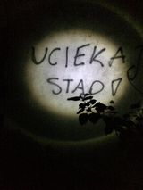 Фото користувача boski111