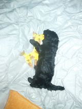 Fotos RadziuKalinski