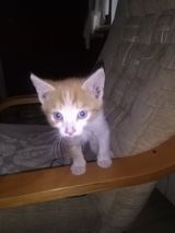 Benutzerfoto pikus12329