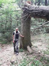 Фотография пользователя fredzio26