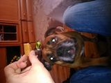 Benutzerfoto biniu83