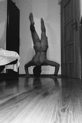 Photos damianogonek7