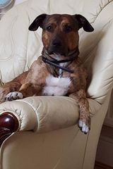 Benutzerfoto AntekWesolek