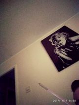 Fotka uživatele polakpatriota1