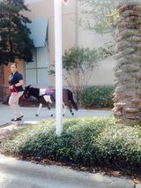 Zdjęcie użytkownika wanV