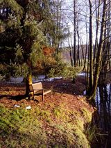 Фото користувача andi968