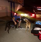 Benutzerfoto ArekMaxymilian