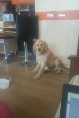 Zdjęcie użytkownika MarianMaciuch