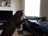Zdjęcie użytkownika xHousedx