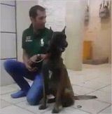 Benutzerfoto HassaniH