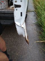 Zdjęcie użytkownika FFM