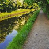 Zdjęcie użytkownika BartoszSzyd