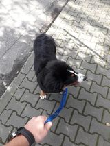 Фотография пользователя MarcinStromski