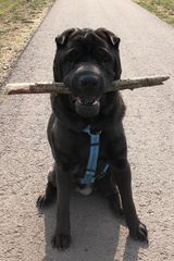 Photos ZakreconySwir