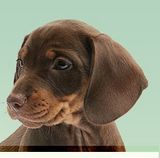 Zdjęcie użytkownika mily02