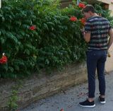 Photos DanielVandeBeek