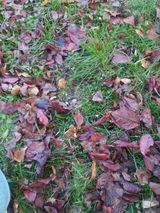 Benutzerfoto Monika9494