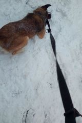 Фотография пользователя Niunka29