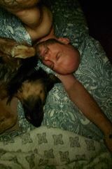 Zdjęcie użytkownika TrockenbauH