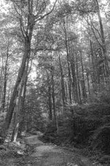 Benutzerfoto radis25