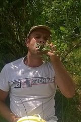 Fotos GronekDa