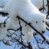 Zdjęcie użytkownika VitekVitek