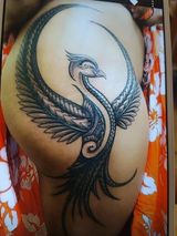 Benutzerfoto Donn1998