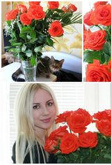 Foto utilizatorului golubka