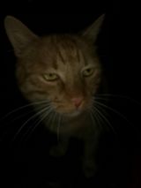 Benutzerfoto dawidde85