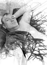 Foto utilizatorului Cyberunner