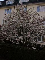 Zdjęcie użytkownika SpychalskiK