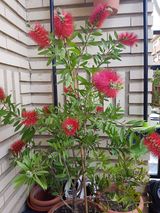 Photos Karolinka24lat