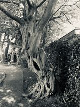 Photos Jarajtoczlowiek