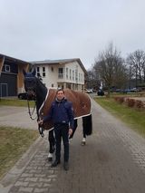 Zdjęcie użytkownika Mirekmisho