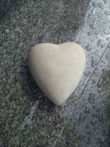 Zdjęcie użytkownika Cytrynkaxx