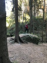 Foto pengguna AlexanderLubczyk