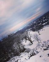 Photos WaloMi