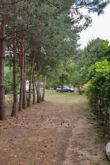 Фото користувача DominikMatynia