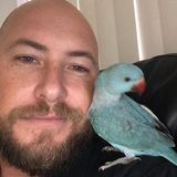 Foto utilizatorului viplog