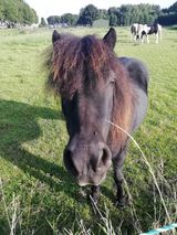 Zdjęcie użytkownika RejduchPa