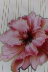 Photos pawelgrzgmailcom