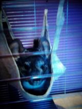 Фотография пользователя Dominosexs