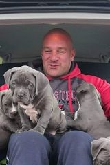 Фото користувача RobertoXXL