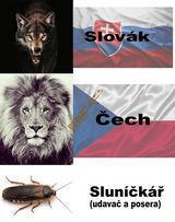 Fotka uživatele Wences