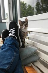 Zdjęcie użytkownika Christoph04